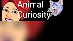 Animal Curiosity