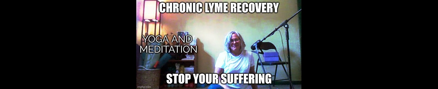 Chronic Lyme Recovery
