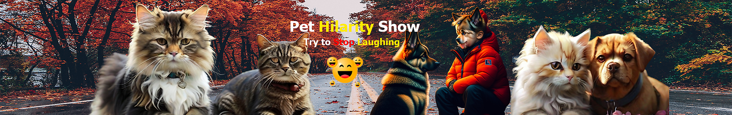 Funny animal videos, Funniest cats and dogs: The Pet Hilarity Show