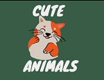 Cute & Funny Animals