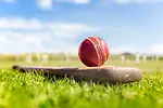 Cricket Raaz English