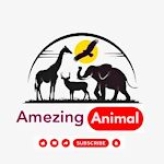 Amezing Animal