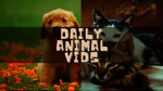 Short Animal Videos