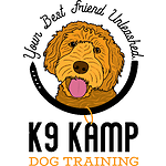 K9 Kamp Dog Training