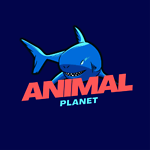 Animalplanet24