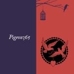 Pigeon365