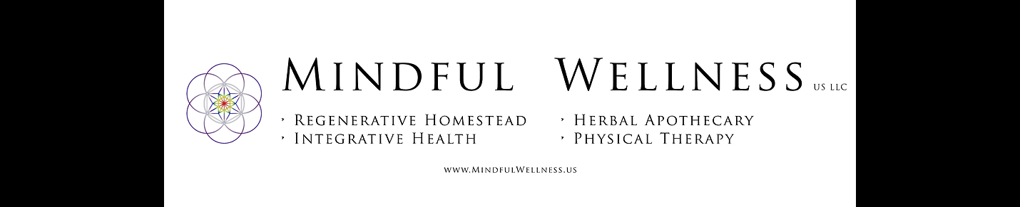 Vibrance with Mindful Wellness