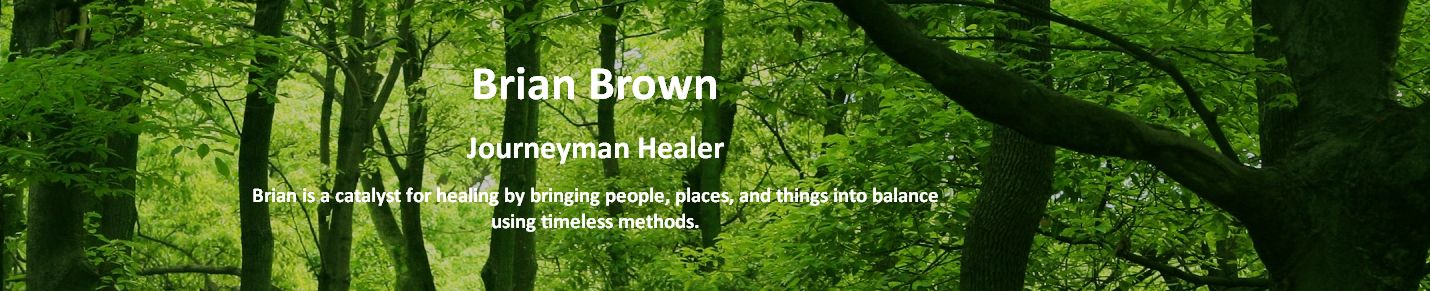 Brian Brown - Journeyman Healer