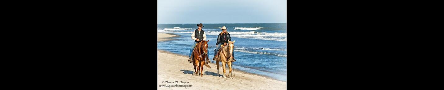 Perfect Partners Equine