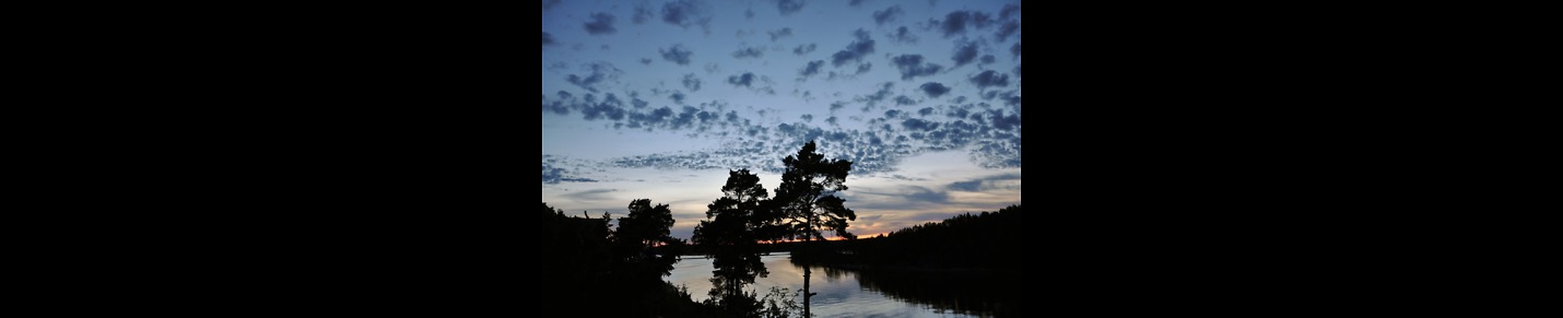 Under Svea Banér