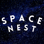 Space Nest - Be In Your Zone