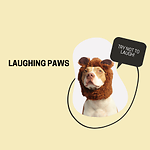 Laughing Paws: Hilarious Animal Videos