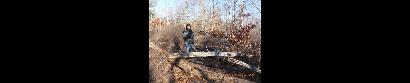 Bridgewater Triangle Explorer