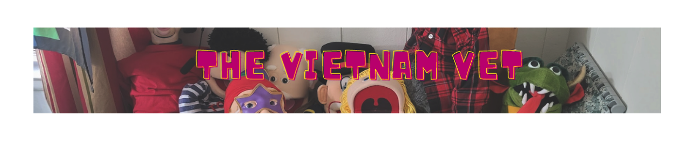 THE VIETNAM VET