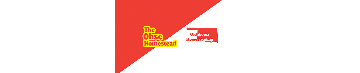 The Ohse Homestead