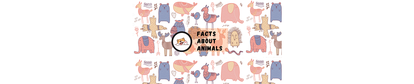 Facts about Animals.
