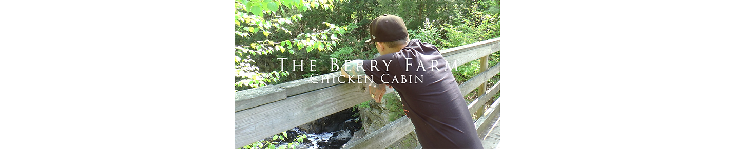 The Berry Farm Chicken Cabin