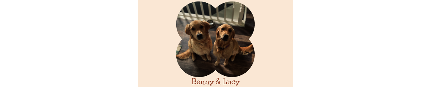 The Benny and Lucy Show