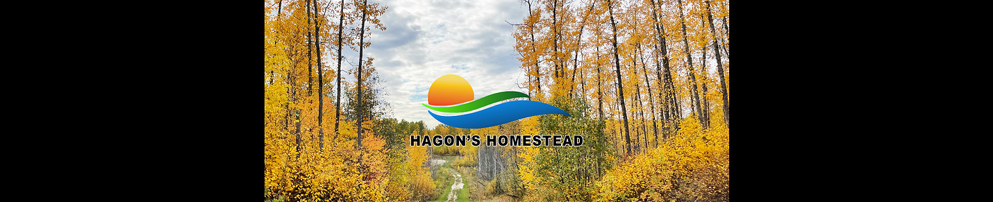 Hagon's Homestead