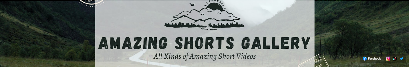 Viral Shorts Gallery