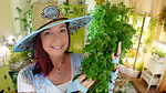 Grow Your Homestead With Angie