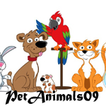 Pet Animals