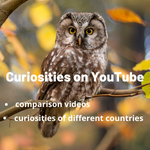 Curiosities on Youtube