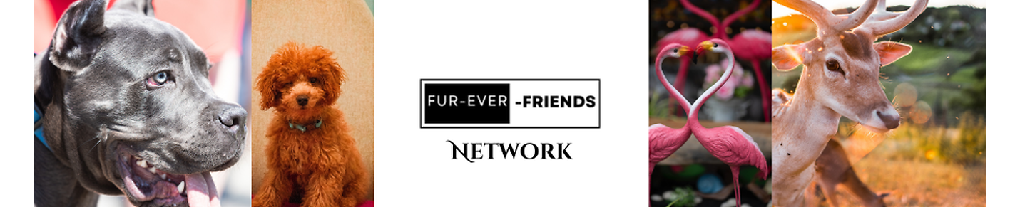 Fur-Ever- Friends