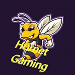 Hornet Gaming