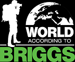 World According To Briggs