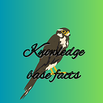 Knowledge base facts calm your mind