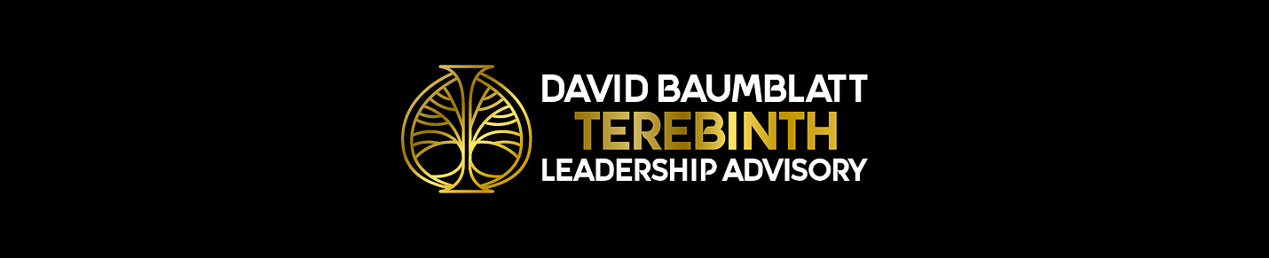 David Baumblatt Terebinth Leadership