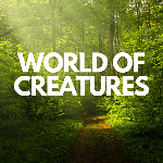 WorldofCreatures