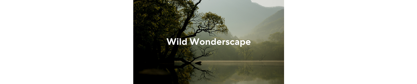 Wild Wonderscape