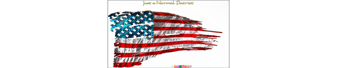Just a Normal Patriot