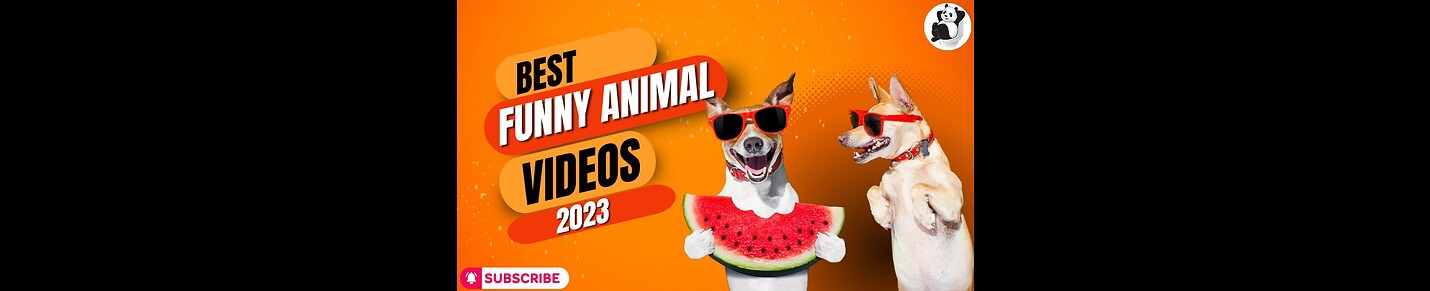 Funny video kids funny video animal funny video comedy video dog video cat video