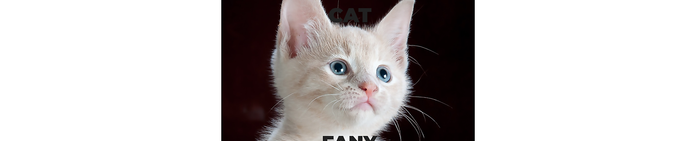 Fanny cat