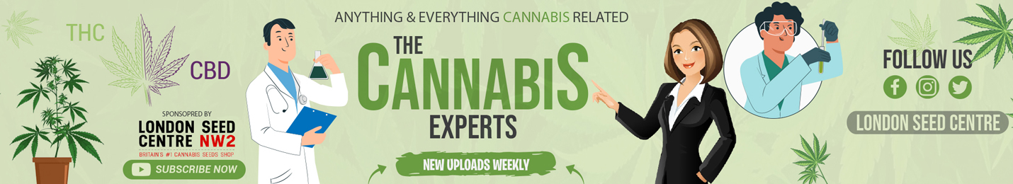 The Cannabis Experts