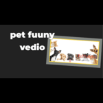 pet fuuny vedio