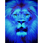 Blue Lion Musings