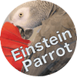 Einsteinparrot