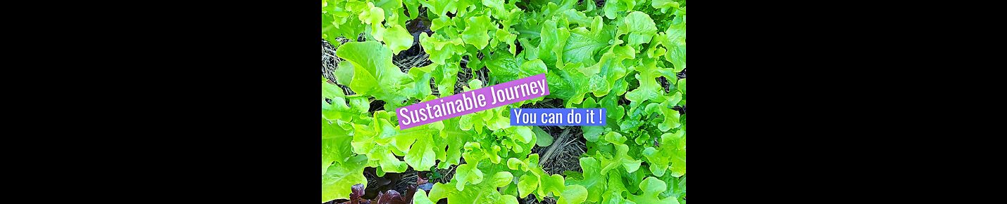 Sustainable Journey