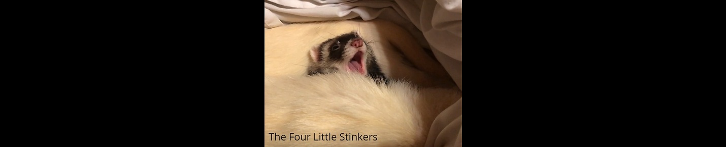 The Four Little Stinkers