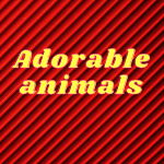 Adorable animals